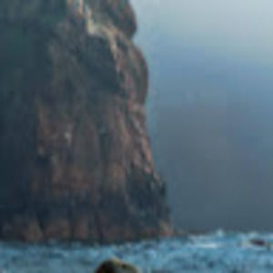 Meet your Posher, Aiden